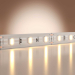 Светодиодная лента Maytoni Led Strip 5м 201162