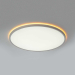 Потолочный светильник Citilux NORMA CL749500