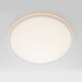 Потолочный светильник Citilux NORMA CL749500