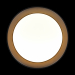Потолочный светильник Loft it Coin 10202 BB