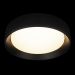 Потолочный светильник Loft it Coin 10202 BB