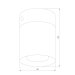 Потолочный светильник TK Lighting 3410 Vico Black