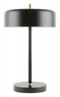 Настольная лампа Arte Lamp Skat A7052LT-2BK