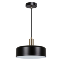 Подвесной светильник Arte Lamp Skat A7052SP-1BK