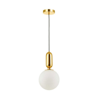 Подвесной светильник Odeon Light Pendant Okia 4669/1