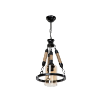 Подвесной светильник Toplight Alanna TL1645H-01BK