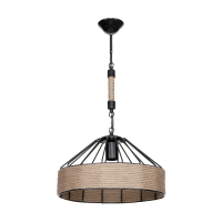 Подвесной светильник Toplight Bathsheba TL1642H-01BK