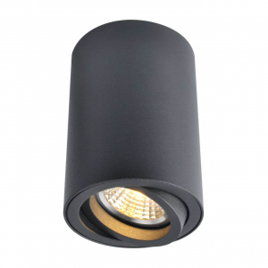 Потолочный светильник Arte Lamp A1560PL-1BK