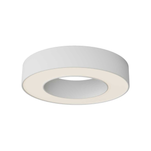 Потолочный светильник Maytoni Technical C093CL-24W3K-W