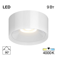 Потолочный светодиодный светильник Citilux Rover CL743090N