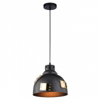 Подвесной светильник Arte Lamp Eurica A6024SP-1BK